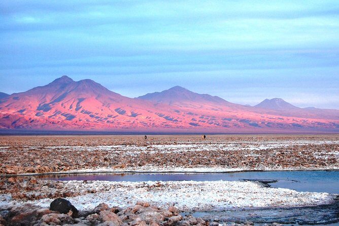 Altiplanic Lagoons & Piedras Rojas Tour from San Pedro de Atacama - Stop 1: Chaxa Lagoon in Los Flamencos Reserve (Flamingo Viewing Time)