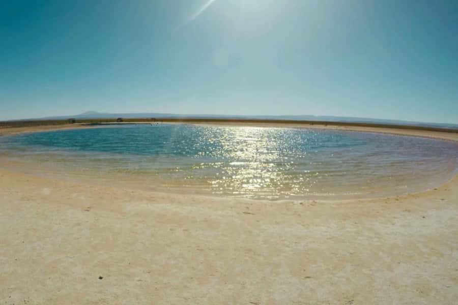 Atacama Desert: Floatation in Laguna Cejar and Sunset - Guide Quality Matters: When You Get a Strong One, the Tour Clicks
