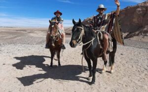 Atacama Desert: Horseback Adventure with Scenic Views - Horse choice and riding tips: you’ll want to relax early