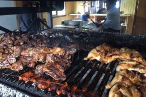 Balmaceda & Serrano Glaciers Boat Tour and traditional lunch. - Puerto Toro forest walk: coihues, southern beeches, and Serrano Glacier views