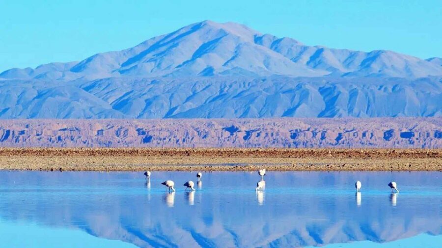 Caracoles: Red Stones of Atacama and Chaxa Guided Day Trip - The Red Stones trek: volcanic terrain and the best kind of walking effort