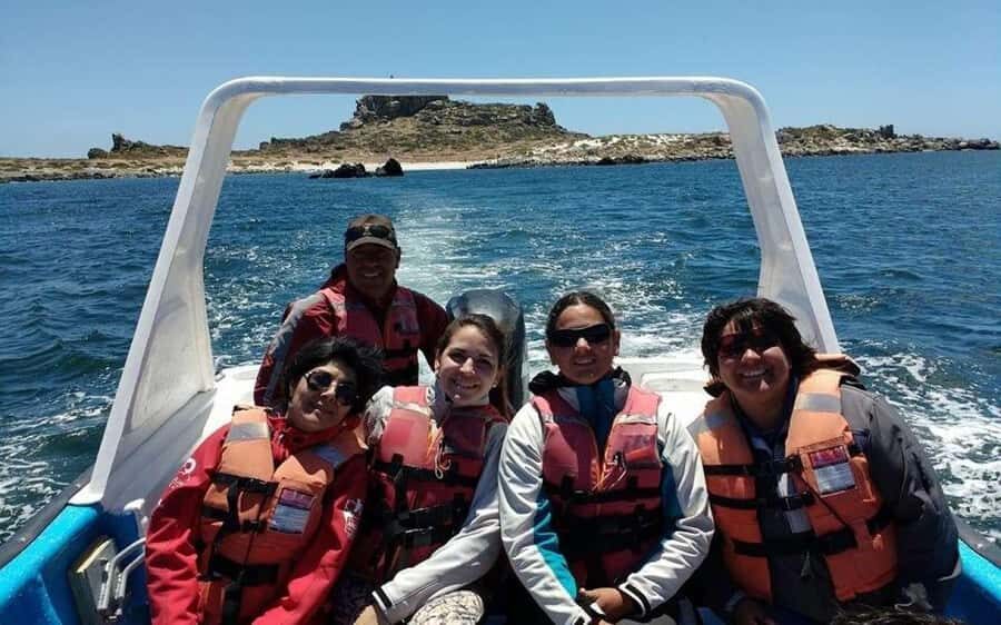 Chañaral de Aceituno boat ticket - Getting to Caleta Chañaral de Aceituno (and why it matters)
