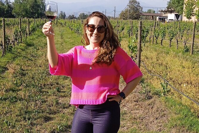 Cousiño Macul Vineyard - Maipo Valley - Premium Tasting - HD - Key Highlights at a Glance