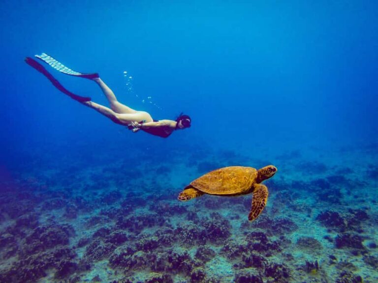 Easter island: Snorqueling tour on coral reefs - Training and Safety Briefing: Why This Part Matters