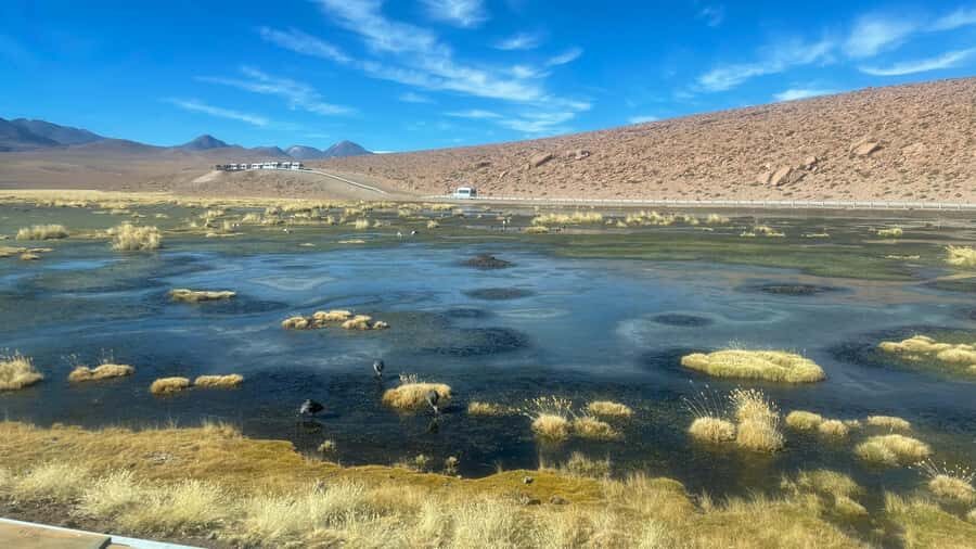 From San Pedro de Atacama: Tatio Geysers and Machuca Tour - Breakfast with a view—and then back to the geothermal details