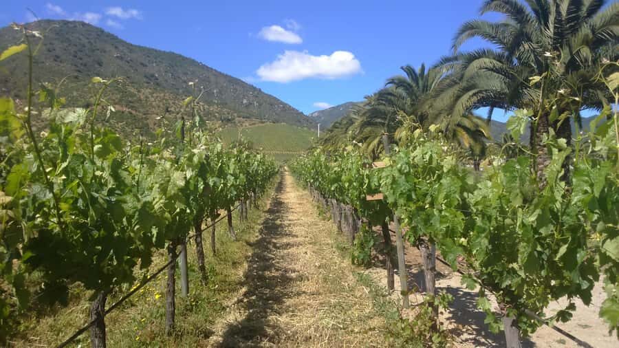 From Santiago: Isla Negra, Pablo Neruda Museum & Winery Tour - Pomaire crafts stop: what to do before lunch hits
