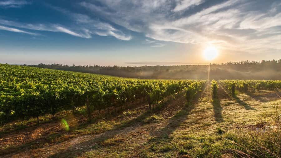 From Santiago: Isla Negra, Pablo Neruda Museum & Winery Tour - Should you book the Isla Negra, Neruda, Pomaire, and Maipo Valley tour?
