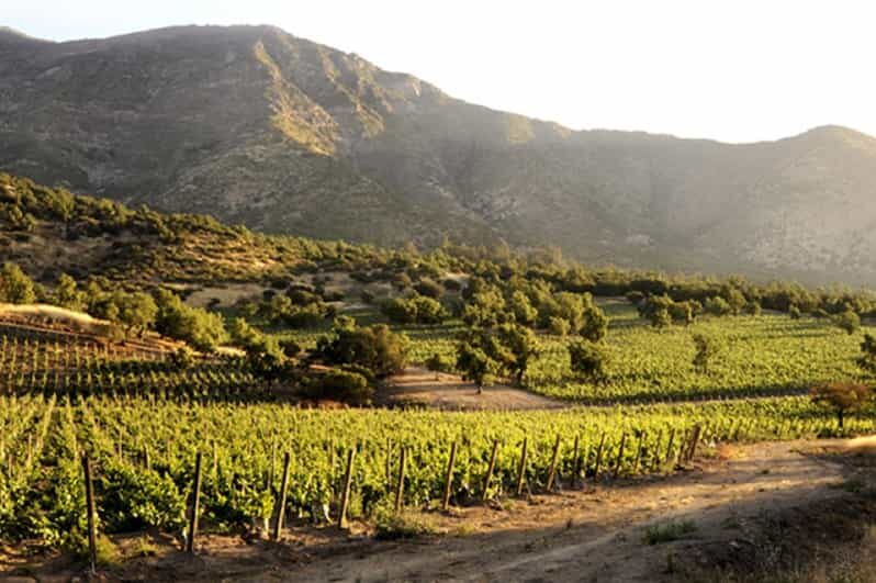 From Santiago: Maipo Valley Wine Tour - Price and Value: Is $130 for 9 Hours a Good Deal?