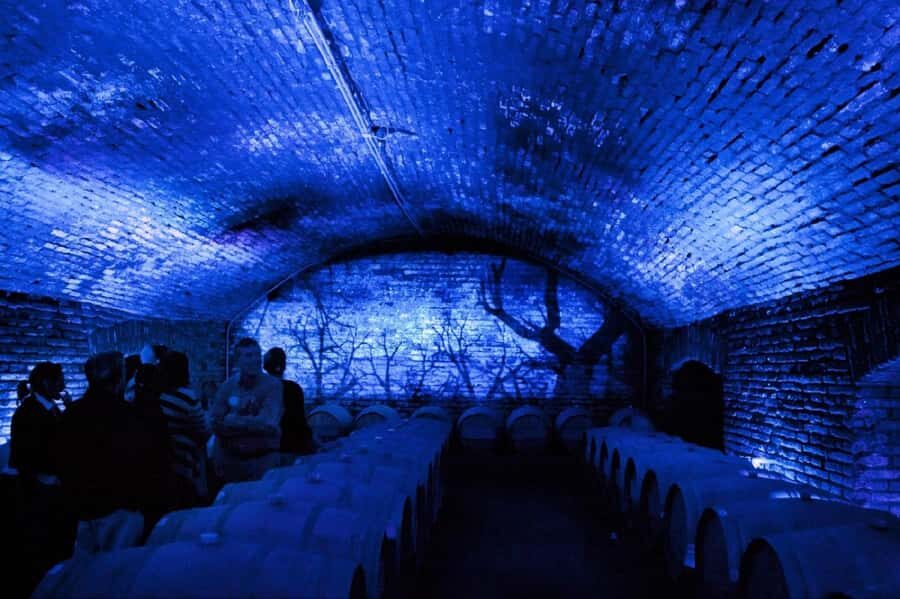 From Santiago: Maipo Valley Wine Tour - What You Get: 2 or 3 Wineries and a Tasting Plan That Feels Real