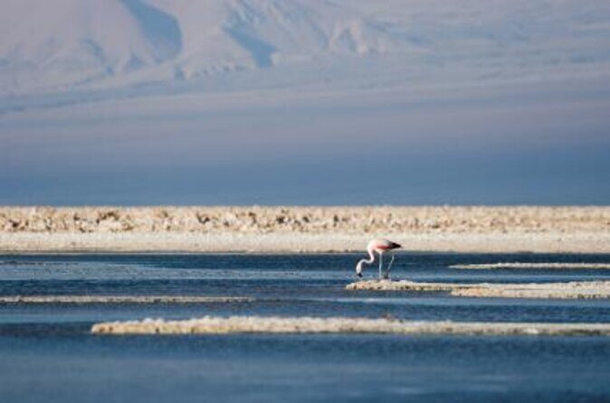 Full Atacama - SORBAC (private groups) - Key highlights and “why it matters”