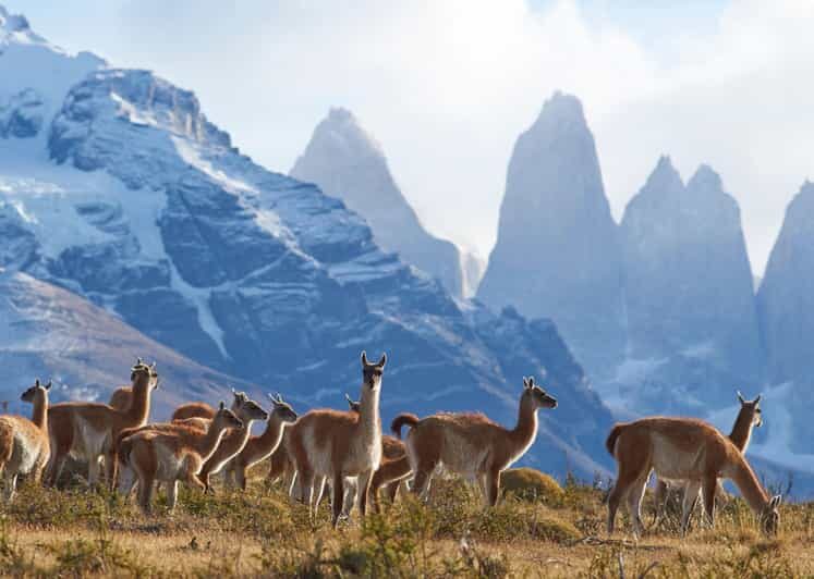 Full-Day Torres del Paine National Park from El Calafate - Who This Trip Suits Best (And Who Should Skip It)