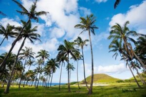 Full day tour - DREAM - Ahu Vaihu: 8 moai, a fisherman’s bay, and a village-style start