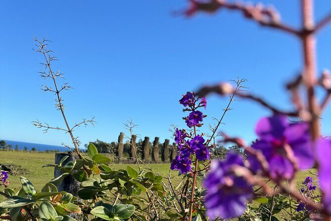 Half Day Tour in Rapa Nui - Pickup, timing, and mobile ticket reality check