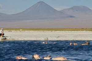 Half-Day Tour to Laguna Cejar - Laguna Cejar floating: effortless buoyancy, fast rinses, and UV reality