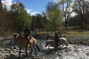Horseback Trailride Excursion - The 4-Hour (Approx.) Itinerary: Where the Time Actually Goes
