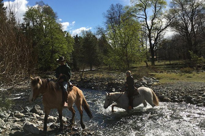 Horseback Trailride Excursion - The 4-Hour (Approx.) Itinerary: Where the Time Actually Goes