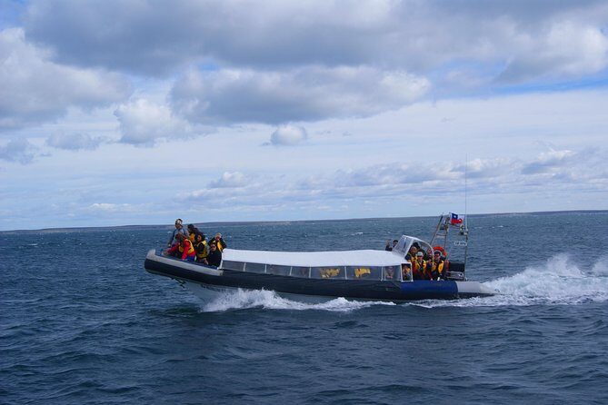 Magdalena Island Penguin Tour by Boat from Punta Arenas - Magdalena Island: protected penguins, lighthouse stops, and guided walk time