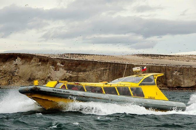Magdalena Island Penguin Tour by Boat from Punta Arenas - Catamaran crossing of the Strait of Magellan (about 45 minutes)