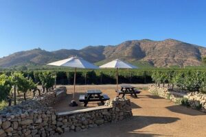 Moment Tour Tasting Icon - Meeting at Viña Encierra: where to go and what to expect