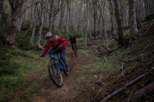 Mountain Bike Adventure in Punta Arenas - Small-group service and guides who tailor your route