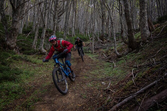 Mountain Bike Adventure in Punta Arenas - Small-group service and guides who tailor your route