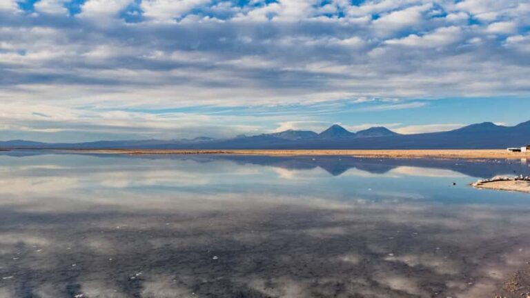 Piedras Rojas, Altiplanics Lagoons & Salar Full-Day Tour - Miscanti and Miñique Lagoons: A Morning Above the Desert