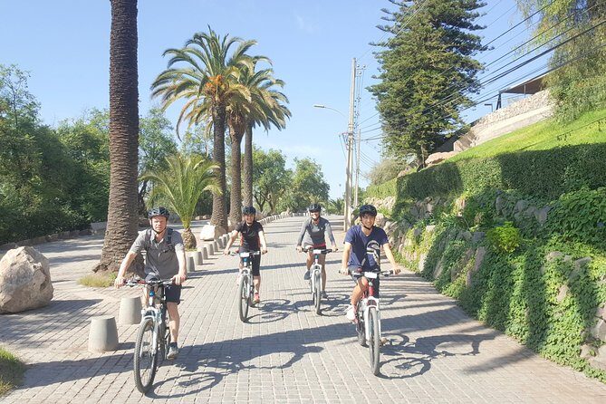 Private San Cristobal Hill & Metropolitan Park Santiago Bike Tour - Your bike and safety setup: practical details that matter