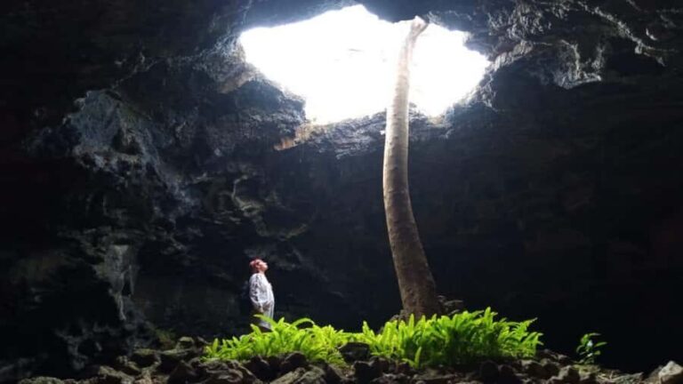 Private Tour: The Underground World of Rapa Nui Caves - Why the Lava Tubes Feel So Different