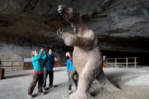 Puerto Natales: Full Day Torres del Paine + Milodon Cave - Getting Picked Up and Staying Sane with an 11-Hour Schedule