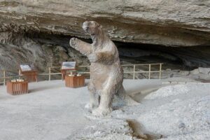 Puerto Natales: Full day tour Torres del Paine - Milodón Cave Natural Monument: a prehistoric pause