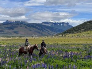 Puerto Natales: Horseback Riding with Horse Connection - Meet your guide, then meet the horses in the corral