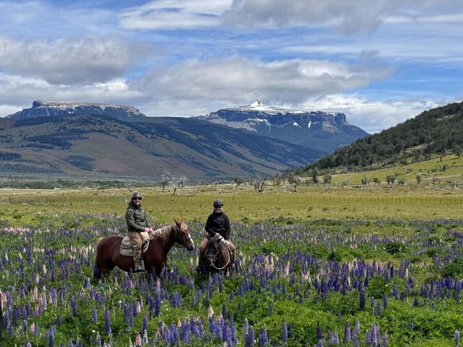 Puerto Natales: Horseback Riding with Horse Connection - Meet your guide, then meet the horses in the corral