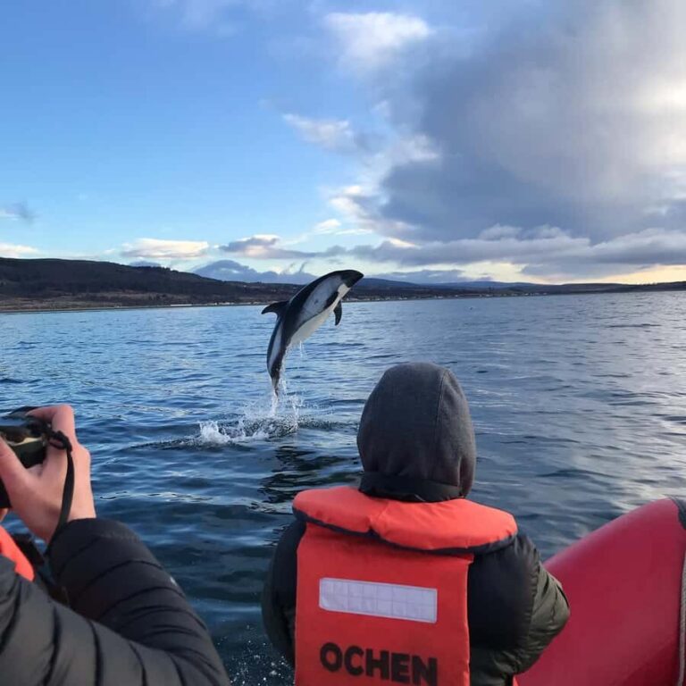 Punta Arenas: Dolphin & Wildlife Watching - The 08:00 pickup and the tight 11:30 finish