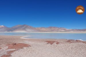 Red Stones and Altiplanic Lagoons - Your Morning Starts at 7:00 am: How the Day Feels in Motion