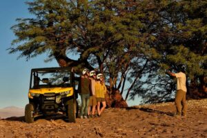 San Pedro de Atacama: Guided Buggy Tour Through the Desert - Getting started: pickup, safety gear, and orientation