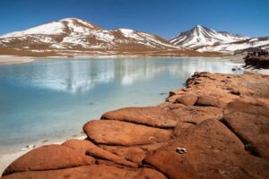 San Pedro de Atacama: Red Rocks & Altiplano Lagoons Day Trip - Chaxa Lagoon: flamingos, salt flats, and a guided eye