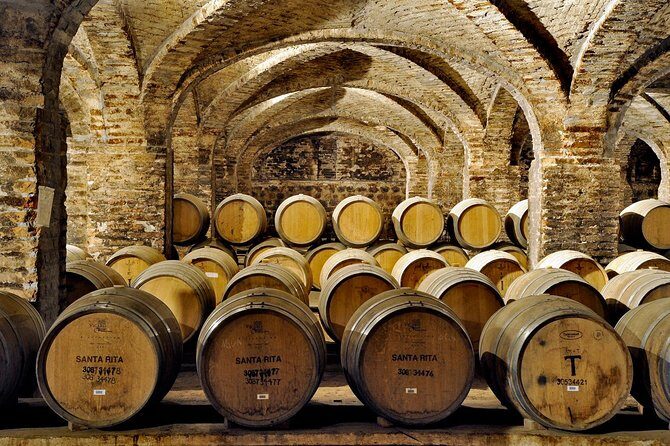 Santa Rita Winery Selection Tour - Vineyard to bottle: what you actually learn on the walk
