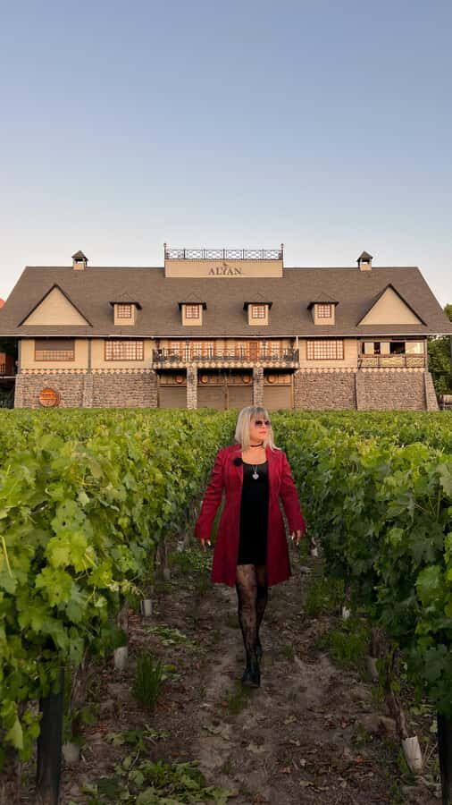 Santiago: Alyan Winery Sunset with Wine Tastings and Dinner - Getting to the winery: pickup neighborhoods and the real length of your day