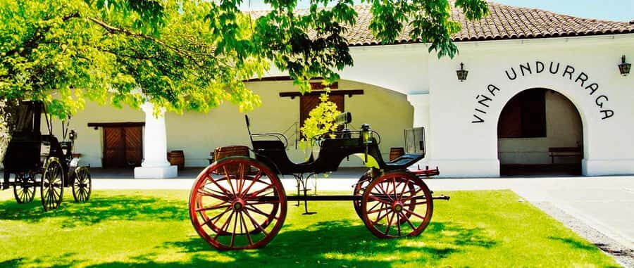 Santiago: Concha y Toro and Undurraga Vineyards Tour - Morning pickup and the Viña Undurraga stop