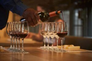 Santiago: Concha y Toro Vineyard Tour w/ Transfer & Tasting - Don Melchor Square and the Walk Through Pirque’s Old Grounds