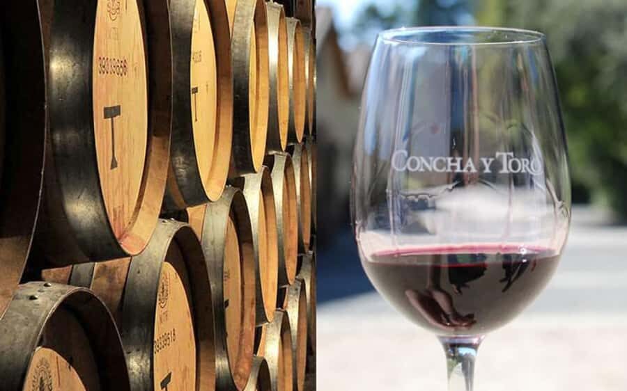 Santiago: Concha y Toro Vineyard Tour w/ Transfer & Tasting - The Tasting Set: 3 Wines Included, Plus Premium Upgrades