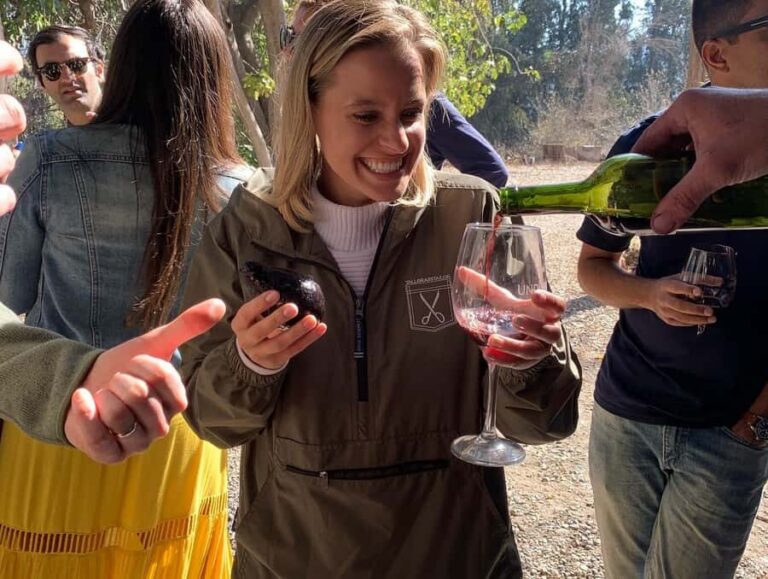 Santiago: Maipo Valley Wine Tasting Tour with 4 Vineyards - Morning pickup and the Maipo River photo stop