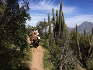 Santiago: Private Andes Foothills Horseback Riding. Half day - Horse matching on a Chilean breed makes or breaks the ride