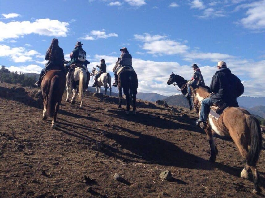 Santiago: Private Andes Foothills Horseback Riding. Half day - Price and value: what $250 really buys you here