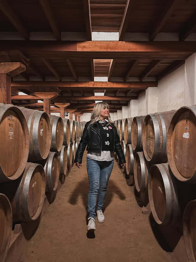 Santiago: Tour to Isla Negra, Algarrobo and Undurraga Wines - Undurraga Winery: Gardens, Mapuche Museum, and a Four-Wine Tasting