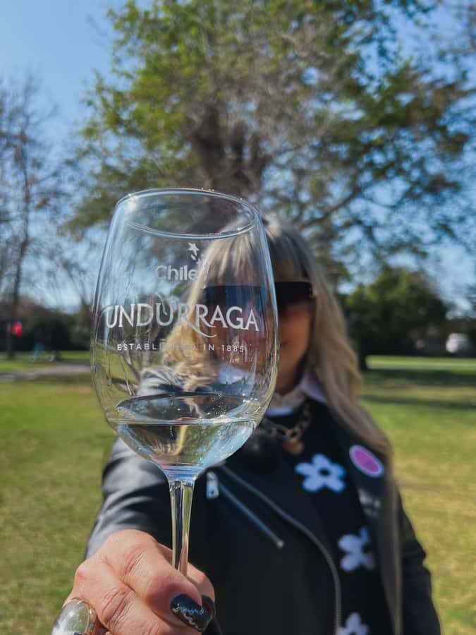 Santiago: Undurraga Winery Tour with Entry and Wine Tasting - Hotel pickup and the 4-hour schedule that keeps you from feeling rushed