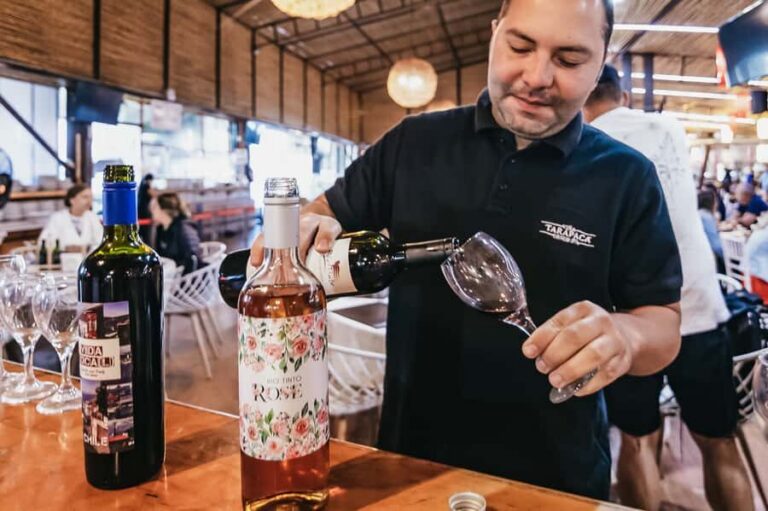 Santiago: Vina Del Mar, Valparaiso, Casablanca & Reñaca Tour - Casablanca wine valley stop: what to expect from the tasting flow