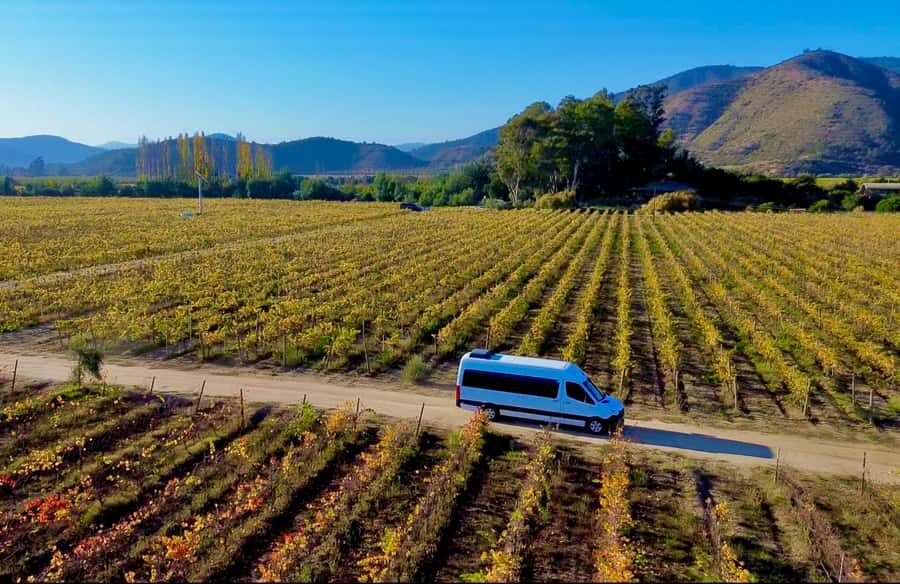 Santiago: Viña del Mar, Valparaiso, with Wine Tasting - Why This Day Trip Feels Efficient, Not Rushed