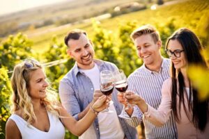 Santiago: World-class Wines, Visit to 4 Vineyards and Tanino - Pickup, van comfort, and how the 10-hour day feels
