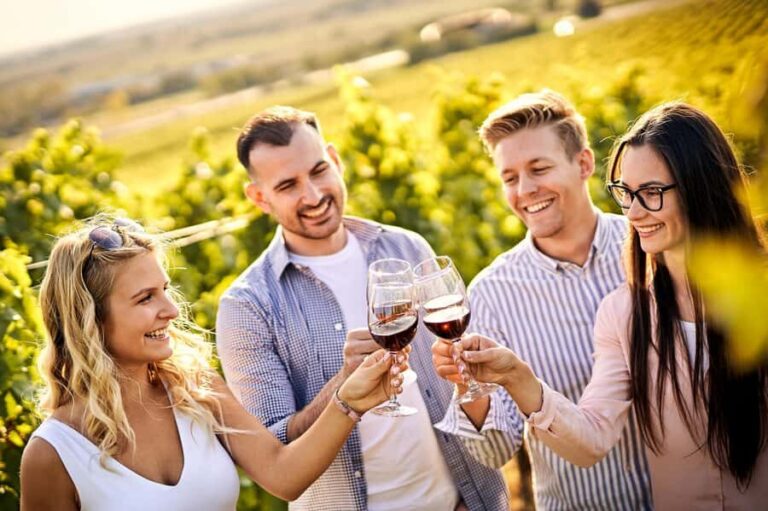 Santiago: World-class Wines, Visit to 4 Vineyards and Tanino - Pickup, van comfort, and how the 10-hour day feels